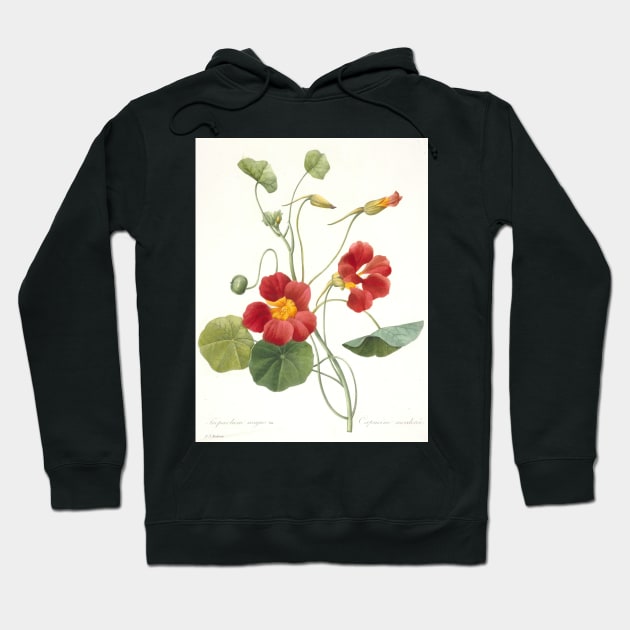 Tropaeolum majus (Garden Nasturtium) by Pierre-Joseph Redoute Hoodie by Classic Art Stall